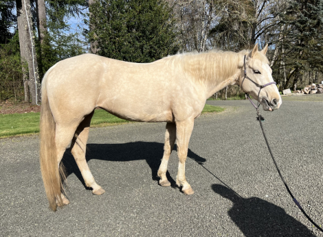 HorseID: 2310889 Sippin dat biankus - PhotoID: 1095633