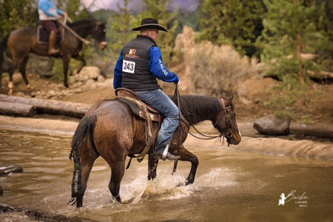 HorseID: 2310892 Smokin N DaBoys Room - PhotoID: 1095623