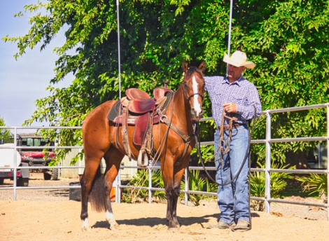 HorseID: 2310892 Smokin N DaBoys Room - PhotoID: 1095624