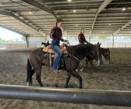 HorseID: 2310892 Smokin N DaBoys Room - PhotoID: 1095626