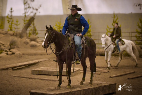 HorseID: 2310892 Smokin N DaBoys Room - PhotoID: 1095627