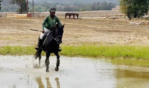 HorseID: 2310914 Raylan Givens - PhotoID: 1095644