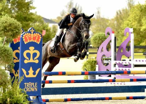 HorseID: 2310915 MSF Carry Me Away - PhotoID: 1095649