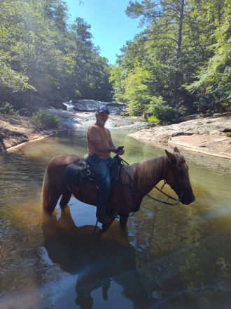 HorseID: 2310918 Jewel - PhotoID: 1095653