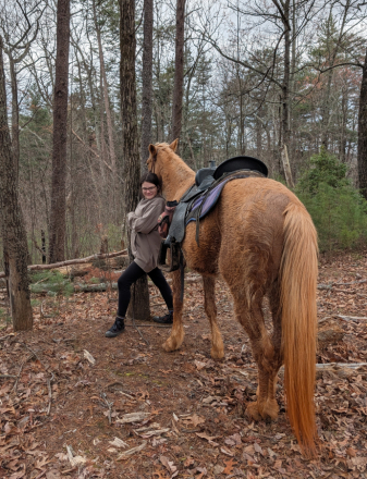 HorseID: 2310918 Jewel - PhotoID: 1095654