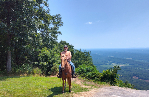 HorseID: 2310918 Jewel - PhotoID: 1095656