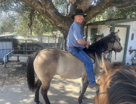 HorseID: 2310927 Holidoc Style - PhotoID: 1095681