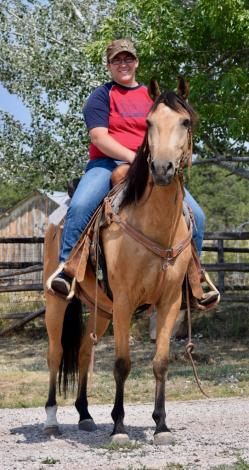 HorseID: 2310938 Sky - PhotoID: 1095867