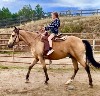 HorseID: 2310938 Sky - PhotoID: 1095870