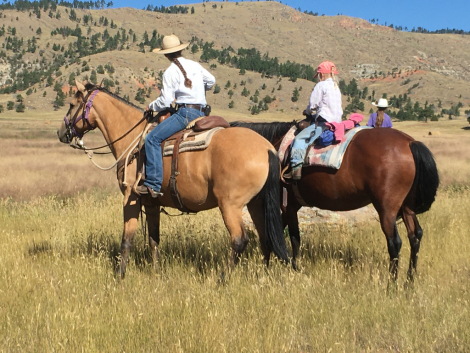 HorseID: 2310938 Sky - PhotoID: 1095871