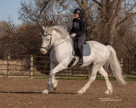 HorseID: 2310943 RTD's SweeterThanWild - PhotoID: 1095789