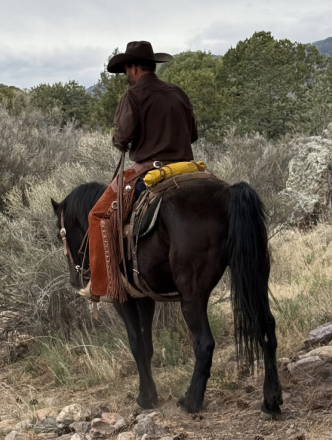 HorseID: 2310953 Bandit - PhotoID: 1095711