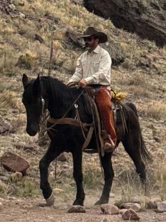 HorseID: 2310953 Bandit - PhotoID: 1095713