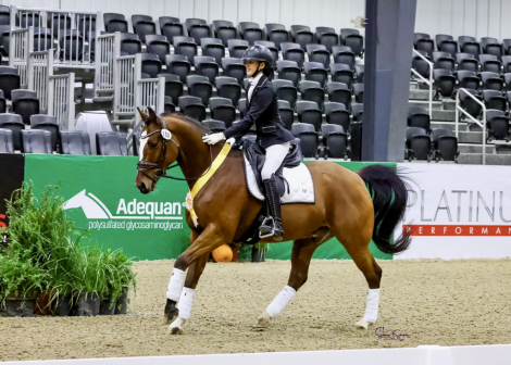 HorseID: 2310960 Devon - PhotoID: 1095618