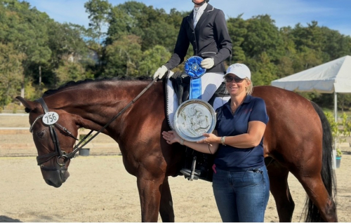 HorseID: 2310960 Devon - PhotoID: 1095619