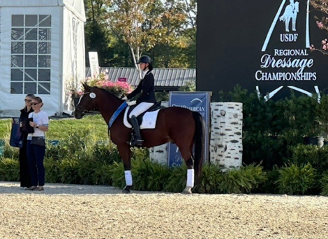 HorseID: 2310960 Devon - PhotoID: 1095621