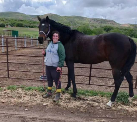 HorseID: 2310967 Violet - PhotoID: 1095729