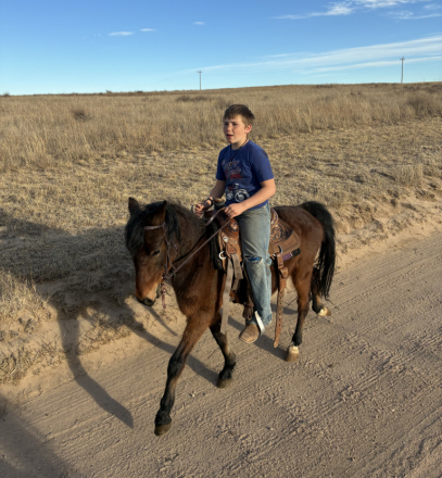 HorseID: 2310986 Boots - PhotoID: 1095740