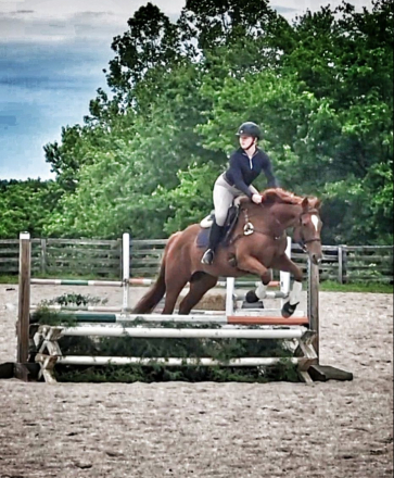 HorseID: 2310987 Watch My Toes - PhotoID: 1096957