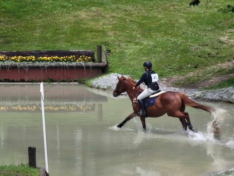 HorseID: 2310987 Watch My Toes - PhotoID: 1096958