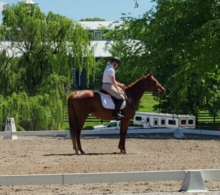 HorseID: 2310987 Watch My Toes - PhotoID: 1096960