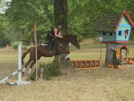 HorseID: 2310987 Watch My Toes - PhotoID: 1096962