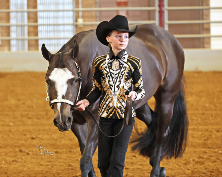 HorseID: 2310996 Made to be Noticed - PhotoID: 1095747