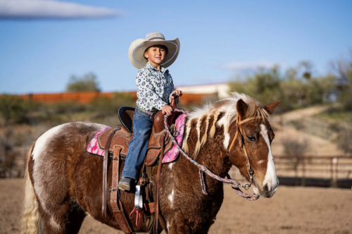 HorseID: 2311028 Tutu - PhotoID: 1095785