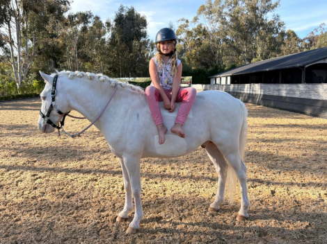 HorseID: 2311033 Jasper EDI - PhotoID: 1095793