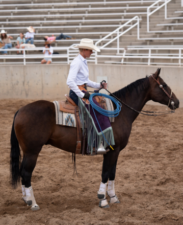 HorseID: 2311061 Kicked Up Diesel - PhotoID: 1095835