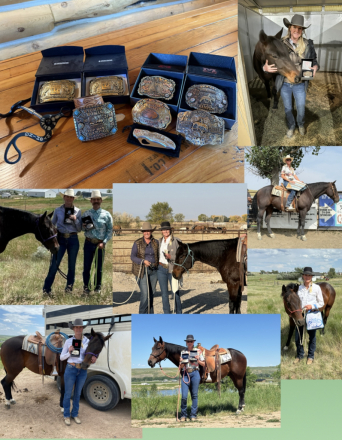 HorseID: 2311061 Kicked Up Diesel - PhotoID: 1095837