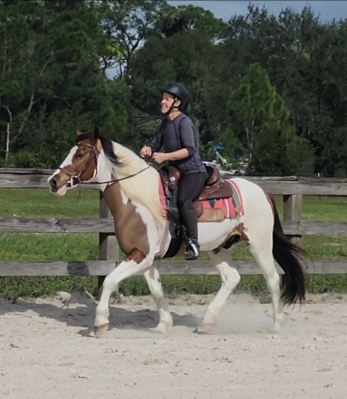 HorseID: 2311073 CHARLIE - PhotoID: 1095850