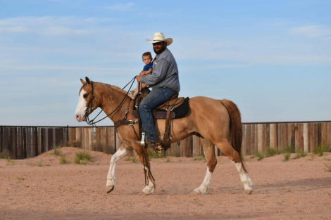 HorseID: 2311081 Queso Blanco - PhotoID: 1095853