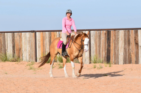 HorseID: 2311081 Queso Blanco - PhotoID: 1095855