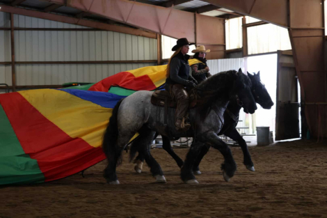 HorseID: 2311083 Atlas - PhotoID: 1095863