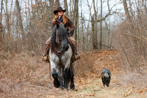 HorseID: 2311083 Atlas - PhotoID: 1095865