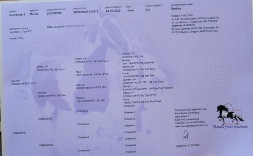 HorseID: 2311084 Mocha SC - PhotoID: 1095874