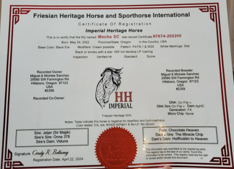 HorseID: 2311084 Mocha SC - PhotoID: 1095875