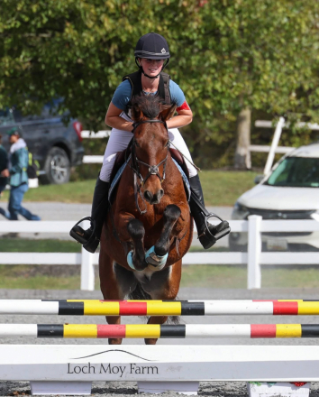 HorseID: 2311090 CBF Cooler Than Coors - PhotoID: 1095877