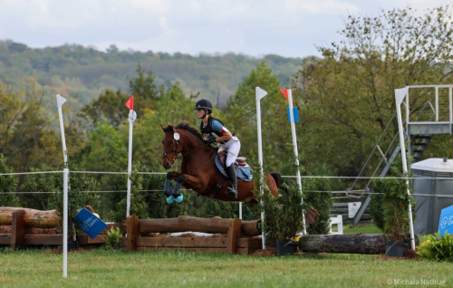 HorseID: 2311090 CBF Cooler Than Coors - PhotoID: 1095878