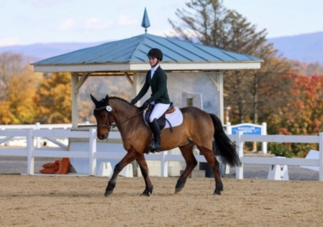 HorseID: 2311090 CBF Cooler Than Coors - PhotoID: 1095880