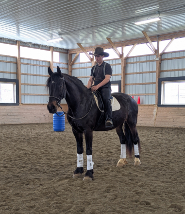 HorseID: 2311093 Ruby - PhotoID: 1095885