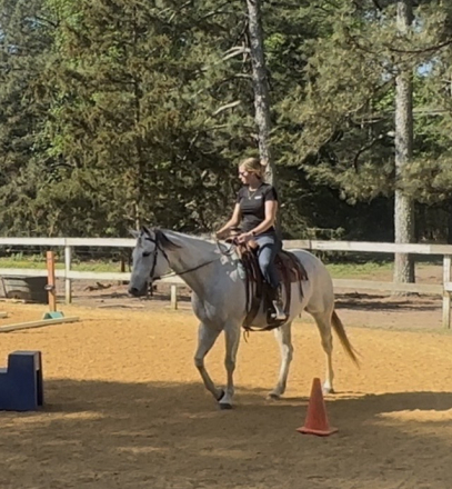 HorseID: 2311099 JAL KIPPA JACKIE1609 - PhotoID: 1095898