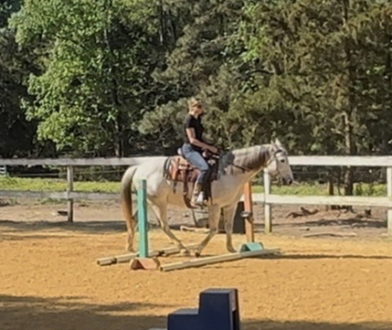 HorseID: 2311099 JAL KIPPA JACKIE1609 - PhotoID: 1095899