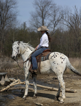 HorseID: 2311105 Denzik’s Randy - PhotoID: 1095887