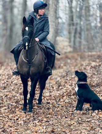 HorseID: 2311106 Pookie - PhotoID: 1095888