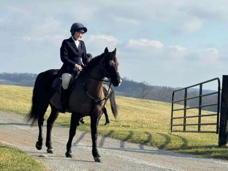 HorseID: 2311106 Pookie - PhotoID: 1095889