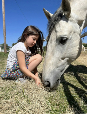 HorseID: 2311107 Lance Armas - PhotoID: 1095893