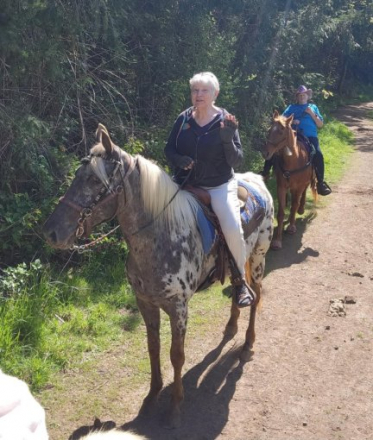 HorseID: 2311118 Bazinga - PhotoID: 1095923