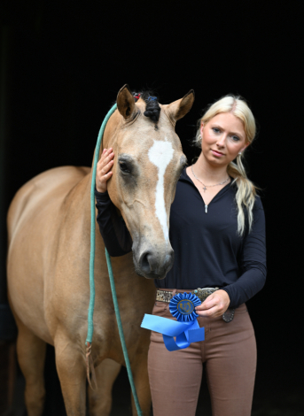 HorseID: 2311139 Marionette FV - PhotoID: 1095949